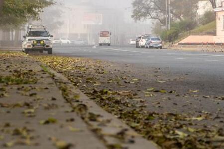Ветрено и прохладно: синоптики рассказали о погоде в Приморье на сегодня