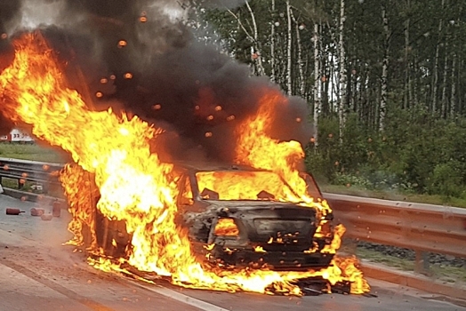 Азиатская иномарка сгорела на глаза у водителей во Всеволожском районе - видео