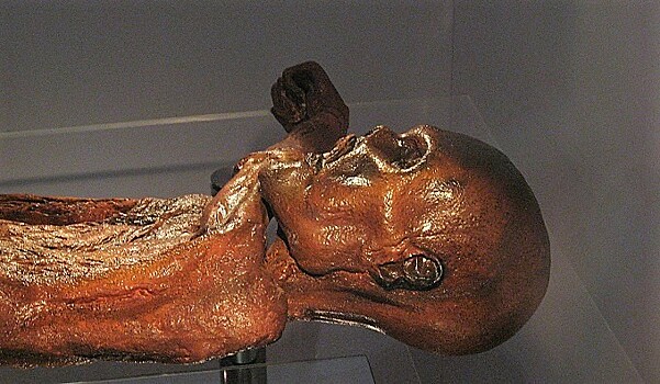 Учеников автошкол хотят водить в морги