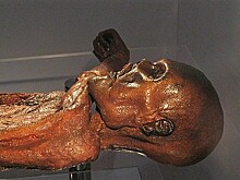 Учеников автошкол хотят водить в морги