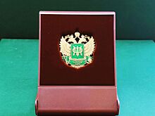 Челябинские финансисты признаны «Отличниками финансовой работы»