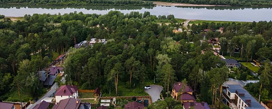 В Новосибирске за 45 млн рублей продают участок соснового бора на берегу Оби