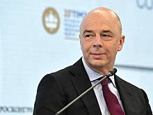 Силуанов: бизнес может выплатить взнос в бюджет в размере 5% в 2023 году