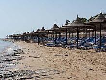 В Хургаде закрывают все пляжи: найдено тело еще одной жертвы нападения акулы