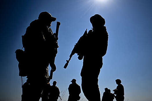 Корпорация МСП: свыше 80% ветеранов открывают бизнес в сферах услуг и сельхоза