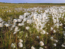 Главврач Салехардской ОКБ посвятил 10-дневный отпуск тундре и кочевникам