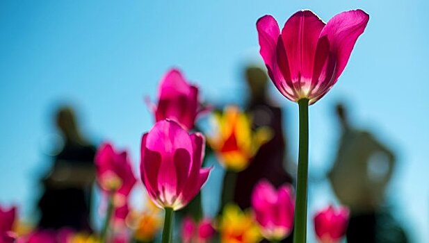 Какой сегодня праздник: 7 февраля