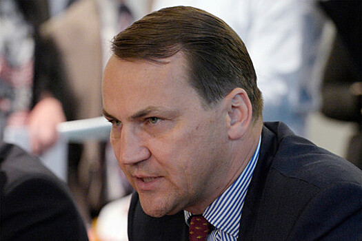 Глава МИД Польши Сикорский: в отношениях с ФРГ есть проблемы, их нужно решать