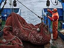 В море идут одни старики: Яровая негодует