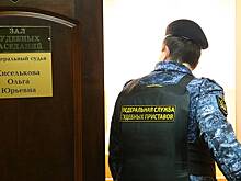 Суд приговорил к 10 годам москвича, который убил свою мать