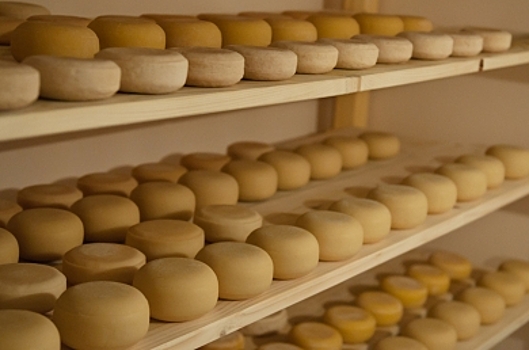 12 тонн костромского сыра отправили в Крым