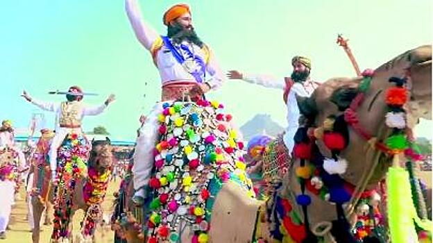 Индийские верблюды стали главными фигурантами местного праздника