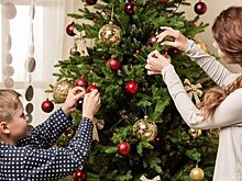 Врач рекомендовал россиянам провести новогодние праздники в кругу семьи