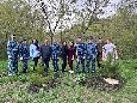 Сотрудники УФСИН России по Ульяновской области приняли участие в экологическом субботнике