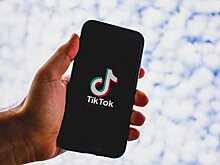 Аппарат президента Татарстана предложил использовать TikTok для борьбы с коррупцией