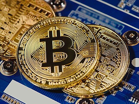 Экономист оценил идею легализации криптовалюты в России