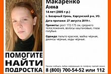 В Карсунском районе пропала 14-летняя девочка