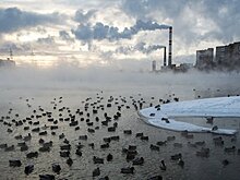 Аномальное потепление придет в Москву