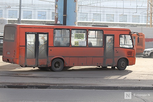 Два новых автобусных маршрута запустят в Нижегородской области