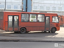 Два новых автобусных маршрута запустят в Нижегородской области