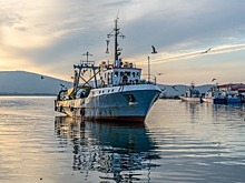 Росрыболовство прогнозирует уменьшение улова лососёвых на 30% в путину-2019