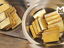 Мигранты незаконно добыли золото на 100 миллионов рублей в Амурской области