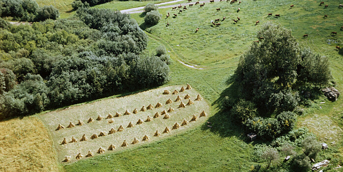 Уточнены особенности обнуления НДФЛ при продаже земельных участков