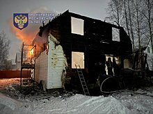 На пожаре под Истрой погиб 8-летний мальчик