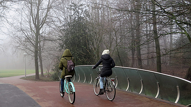 В Нидерландах велосипедистов начнут штрафовать за гаджеты
