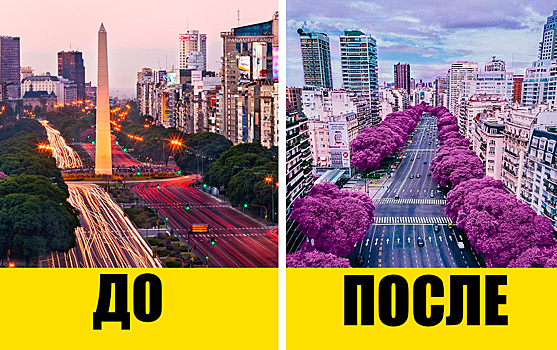 9 городов мира, жители которые сделали реальные шаги по спасению планеты