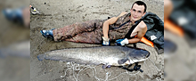 Рыбак из Ижевска поймал 22-килограммового сома: «Ох, и покатал он нас по Каме»