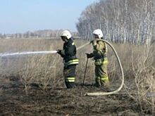 За сжигание травы на дачах омичей могут оштрафовать