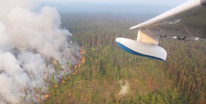 Власти Красноярского края заявили, что не искажали статистику по лесным пожарам