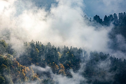 Два десятка лыжниц получили травмы, соревнуясь на сложной трассе в густом тумане