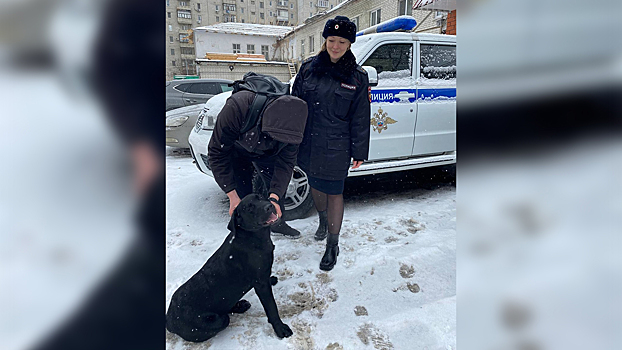 В Белгороде сотрудники патрульно-постовой службы вернули потерявшегося лабрадора хозяину