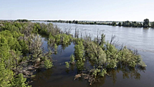 Астраханские власти надеются на продление до июня благоприятного для нереста режима на ГЭС