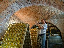 Врач назвала людей, для которых опасен даже неядовитый сидр