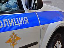 Полиция опровергла слухи о растяжках с гранатами в лесу Солнечногорска