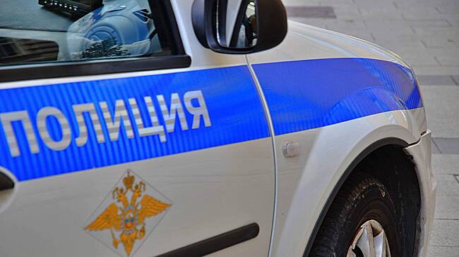 Полиция опровергла слухи о растяжках с гранатами в лесу Солнечногорска