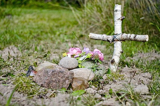 Кинолог Голубев: За самовольные похороны питомца хозяину грозит штраф