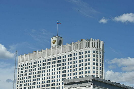 Правительство установит порядок уничтожения контрафактного метанола