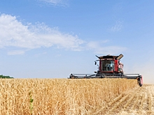 Волгоградские ученые знают, как увеличить в регионе урожай зерновых