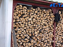 Рабочего насмерть задавило деревом на лесозаготовке в Приморье