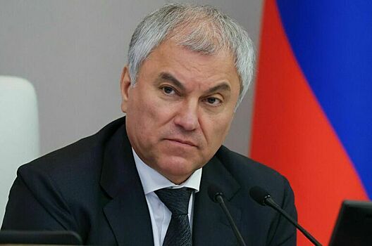 Володин назвал жуликами посягающих на российские активы в Европе