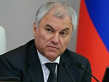 Володин назвал жуликами посягающих на российские активы в Европе