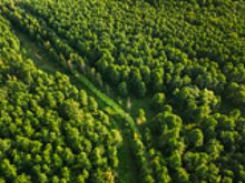 Минлесхоз Беларуси будет развивать экотуризм