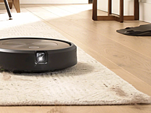 Основатель iRobot создаст роботов-питомцев. Apple тут ни при чем