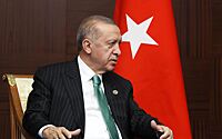 Эрдоган объяснил отмену визита в США