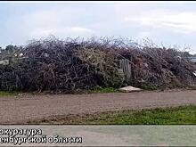 В Ливенском районе компанию заставили убрать отходы с полей