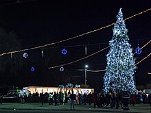 Елки раздора: где в Кишиневе будут праздновать Рождество и Новый год